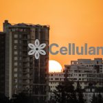 Exclusive: Cellulant to lay off 20% of its employees in organisational restructuring