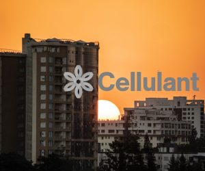 Exclusive: Cellulant to lay off 20% of its employees in organisational restructuring