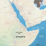 Ethiopia unveils joint Saudi probe into alleged migrant killings