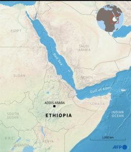 Ethiopia unveils joint Saudi probe into alleged migrant killings