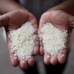 Soaring rice prices stretch budgets for billions in Asia, Africa