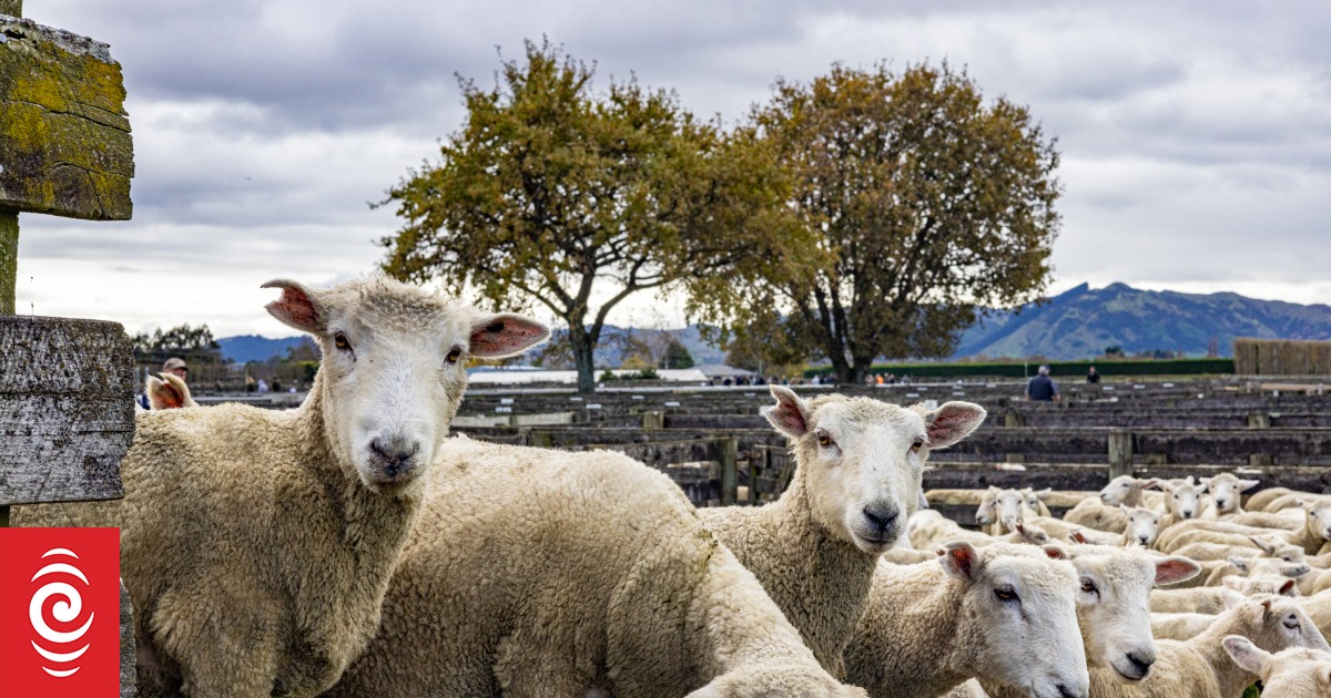 NZ export prices hit as China, Europe economic growth slows