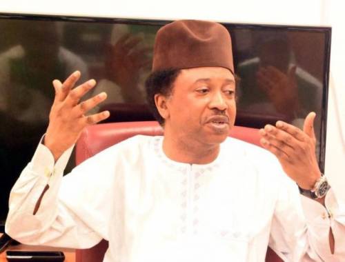 ‘Opting for dialogue and setting up a standby force contradictory’ – Shehu Sani slams ECOWAS