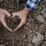 EU tables first-ever soil law for food system resilience, but is it bold enough?