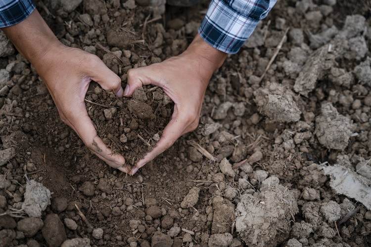 EU tables first-ever soil law for food system resilience, but is it bold enough?