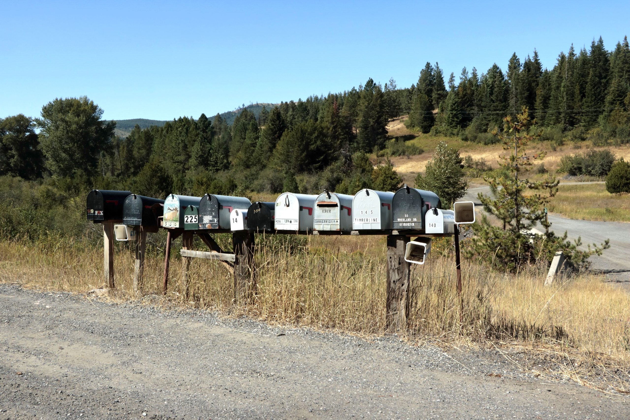 After Hefty Algorithmic Pay Cut, Rural Mail Carriers Are Getting ‘a Huge Slap In the Face’ From Union