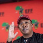 NSPCA’s legal action against Malema ‘insulting, intended to dehumanise Africans’