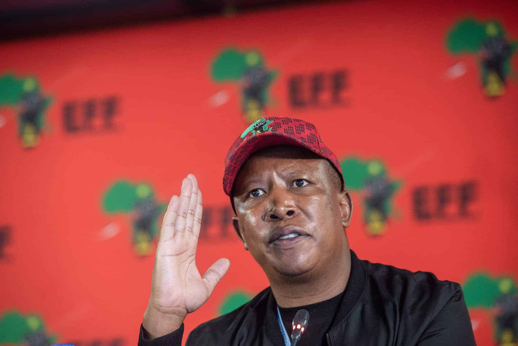 NSPCA’s legal action against Malema ‘insulting, intended to dehumanise Africans’