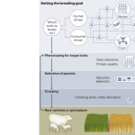 Advancing artificial intelligence to help feed the world