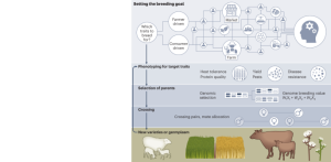 Advancing artificial intelligence to help feed the world