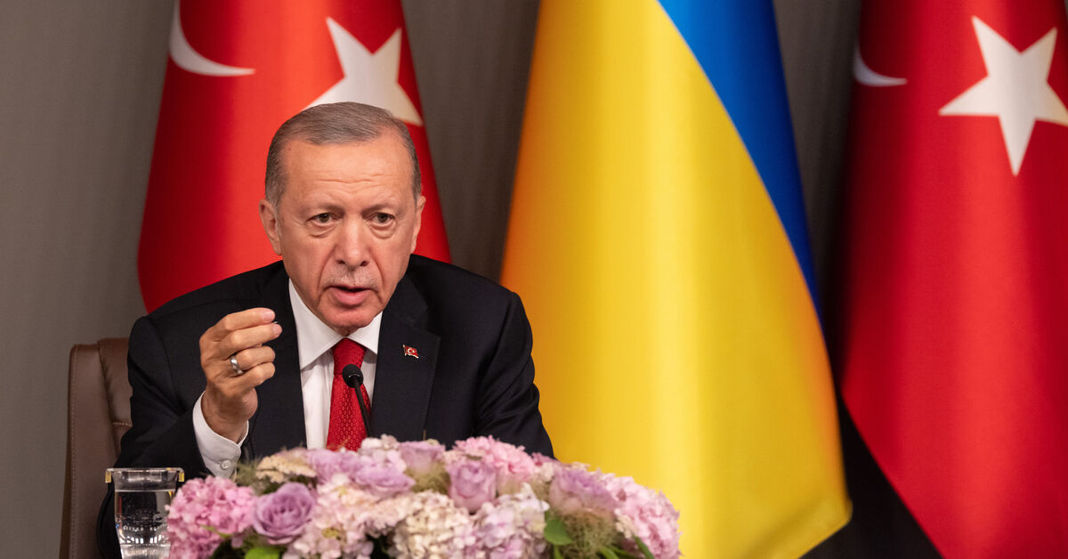 Erdogan links Turkey’s EU accession to Sweden’s NATO bid ahead of summit