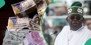 See how naira bounced back against US dollar after Tinubu’s victory at election tribunal