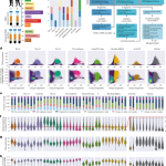 Systematic benchmarking of single-cell ATAC-sequencing protocols