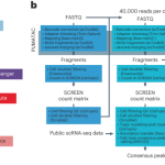 Benchmarking of single-cell ATAC sequencing tools