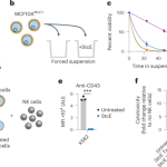 Design of a mucin-selective protease for targeted degradation of cancer-associated mucins