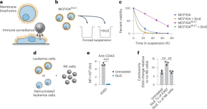 Design of a mucin-selective protease for targeted degradation of cancer-associated mucins