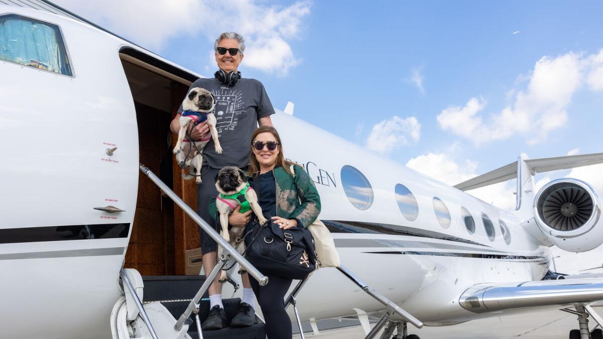 Dubai-London luxury private jet service for dogs announced; rates start from Dh36,500