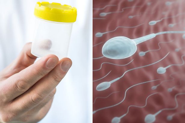 Did You Know That Donor Sperm Can Help Men Who Struggle With Infertility Become Dad? Here’s How These Men Experienced It