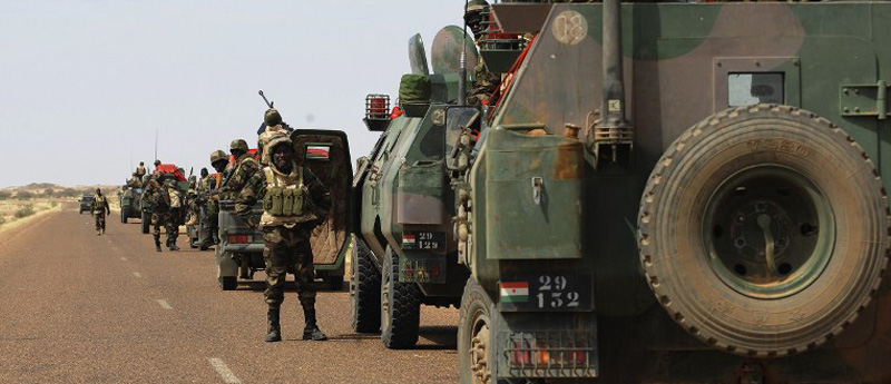 Seventeen Niger Troops Killed In Attack Near Mali – Ministry