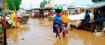 Climate change and its impact on nutrition