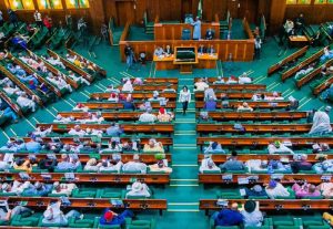 Palliative: Reps react to NLC’s claim of N100 million each for 496 lawmakers