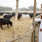 “Former President Buhari Goes to Farm Four Days in a Week” – Garba Shehu