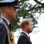 Prince Harry’s awkward ‘hand flick’ gesture to Prince William at Queen Elizabeth’s funeral