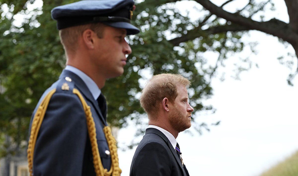 Prince Harry’s awkward ‘hand flick’ gesture to Prince William at Queen Elizabeth’s funeral