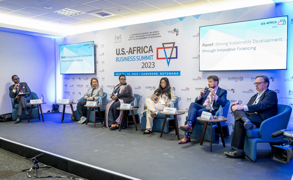 Africa: Driving Sustainable Development Through Innovative Financing in Africa