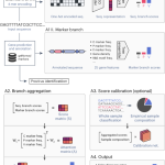 Fast and accurate identification of plasmids and viruses in sequencing data using geNomad