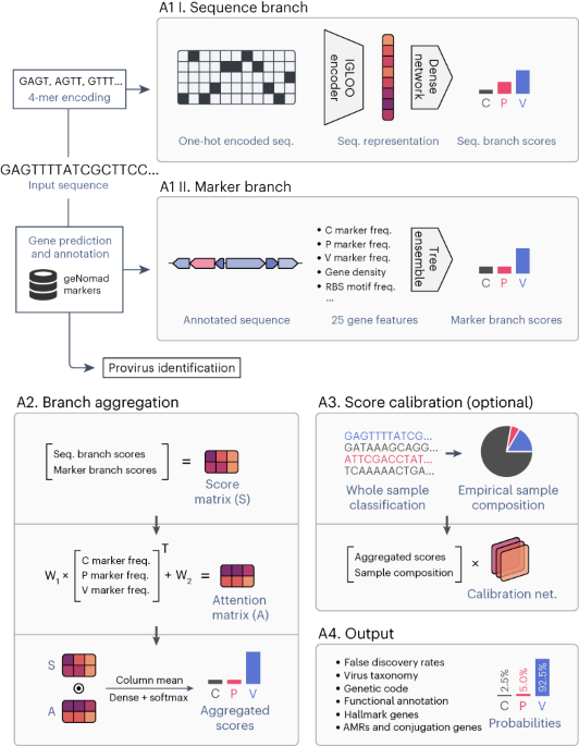 Fast and accurate identification of plasmids and viruses in sequencing data using geNomad