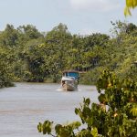 Where to eat in Belem, Brazil’s gateway to the Amazon