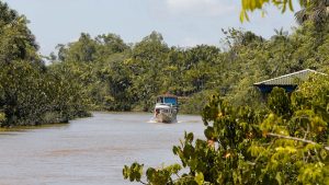 Where to eat in Belem, Brazil’s gateway to the Amazon