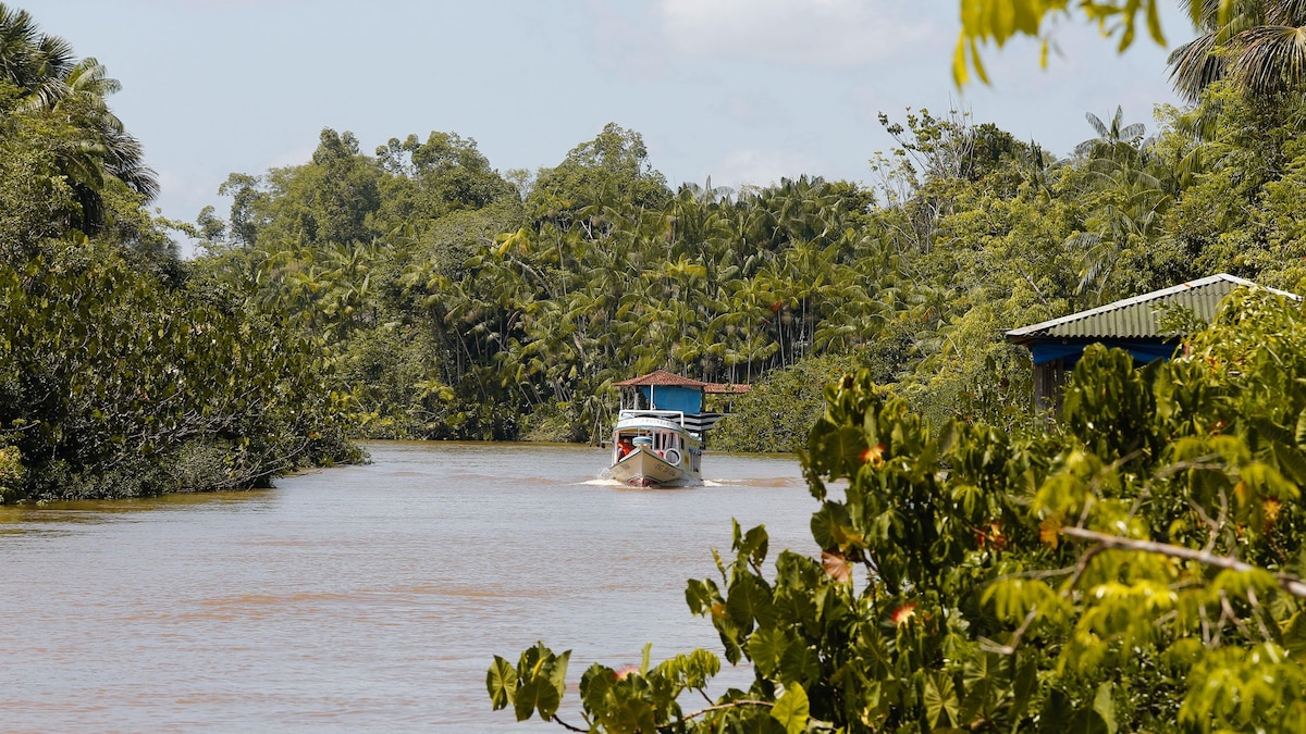 Where to eat in Belem, Brazil’s gateway to the Amazon