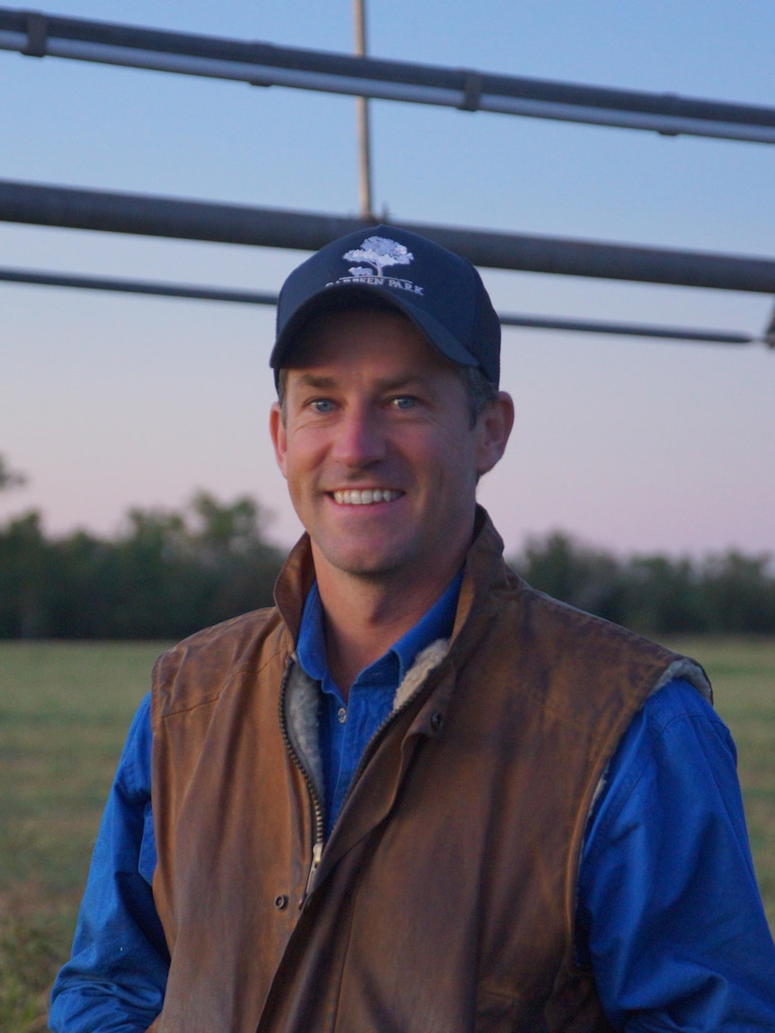 The ‘data cowboy’ transforming cattle yards in the Northern Territory