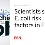 Scientists study E. coli risk factors in France