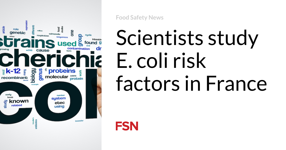 Scientists study E. coli risk factors in France