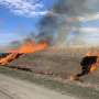 Using fire to revive a fragmented prairie landscape