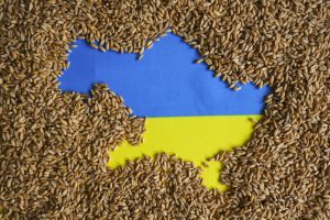 Fears for further food price spikes as Russia pulls out of Black Sea grain deal