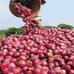 Egypt postpones decision to stop export of onions, leading to market confusion