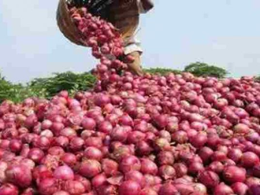 Egypt postpones decision to stop export of onions, leading to market confusion