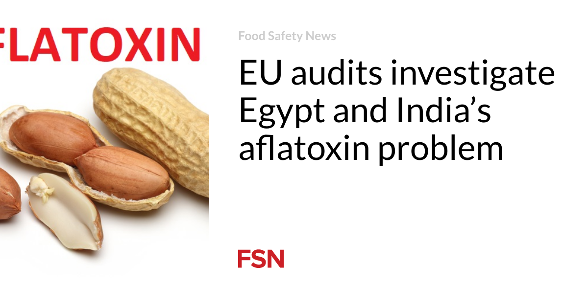 EU audits investigate Egypt and India’s aflatoxin problem