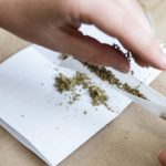 News24 | This journalist bought dagga. It was probably illegal. Here’s why