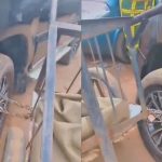 A 2-wheel Cart Chained To The Wheels Of Toyota Prado Has Divided Opinions Amongst Netizens