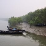 Court order fails to stop poison fishing in Bangladesh Sundarbans