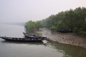 Court order fails to stop poison fishing in Bangladesh Sundarbans