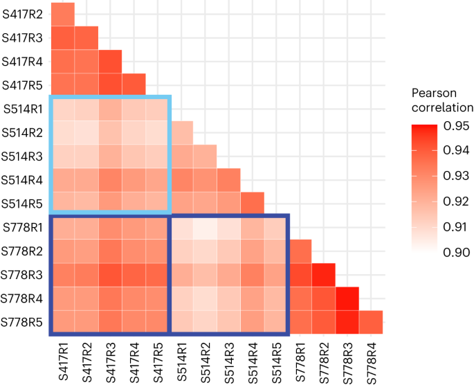 Reply to: Methodological concerns and lack of evidence for single-synapse RNA-seq