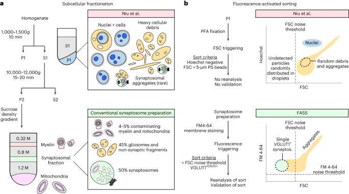 Methodological concerns and lack of evidence for single-synapse RNA-seq