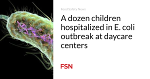 A dozen children hospitalized in E. coli outbreak at daycare centers