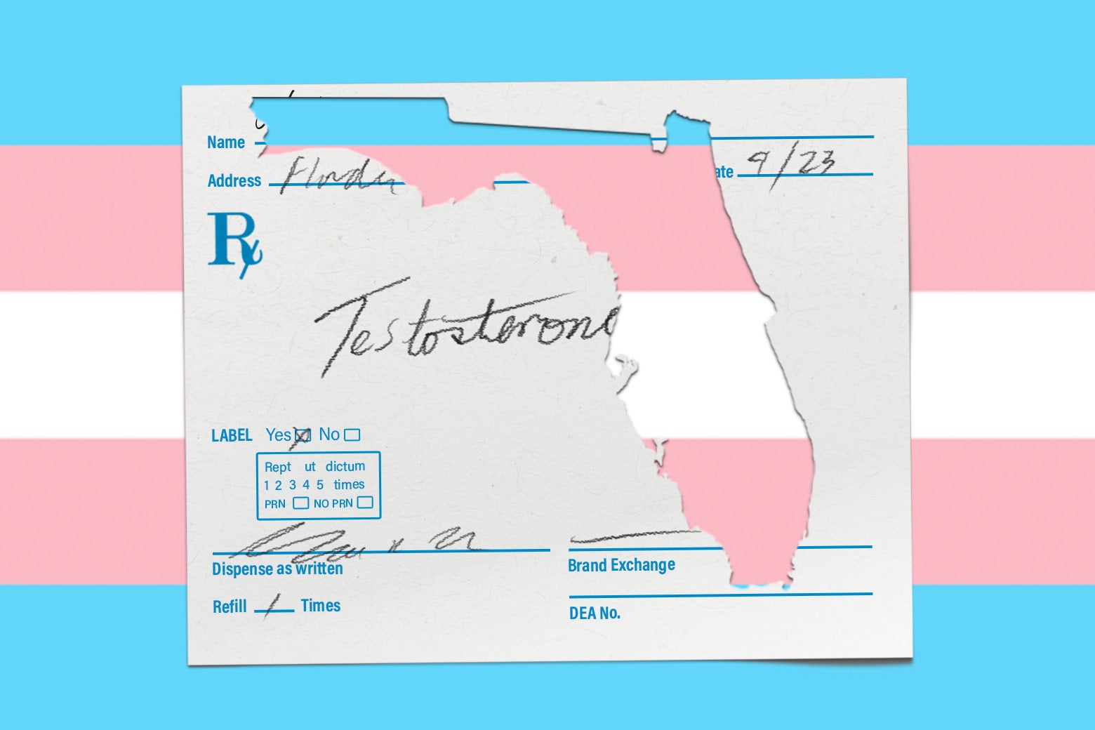 Trans Health Care Is Severely Restricted in Florida. People Are Left With Dangerous Solutions.